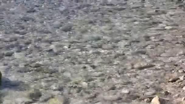 해안선 timelapse에서 보기 — 비디오