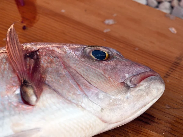 Рыбья голова на деревянной доске — стоковое фото