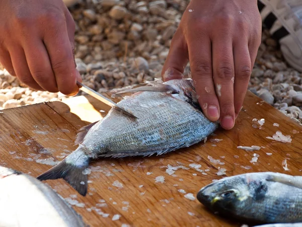 Preparing sea food — Stock Photo, Image