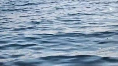 mavi deniz dalgaları