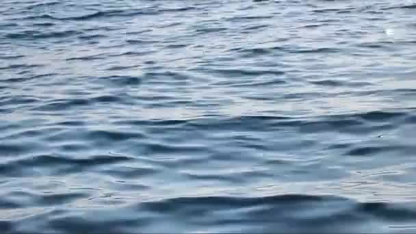 Vagues sur mer bleue 