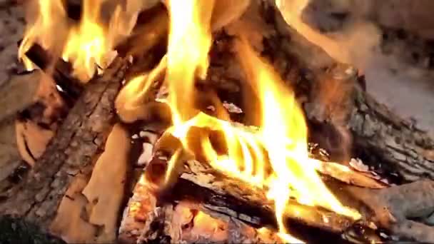spalování dřeva