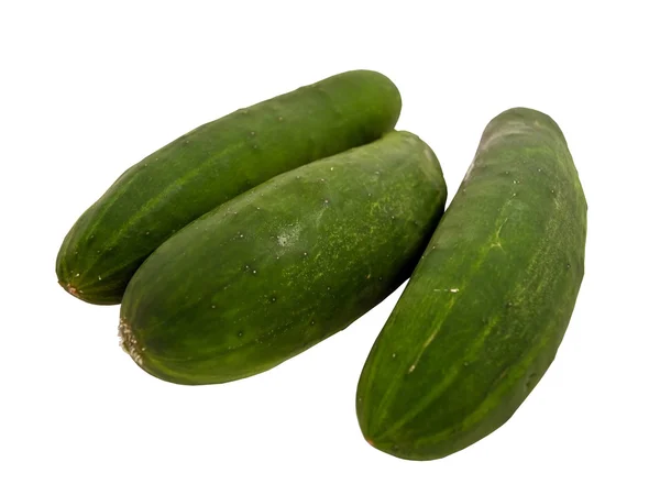 Cucumbers isolated on white background — Stock Photo, Image