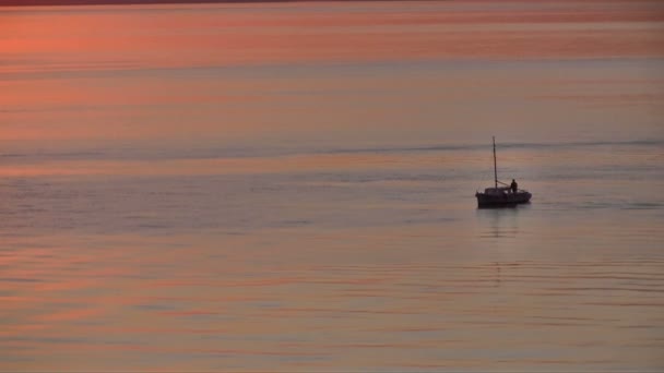 Fiskebåt i solnedgången — Stockvideo