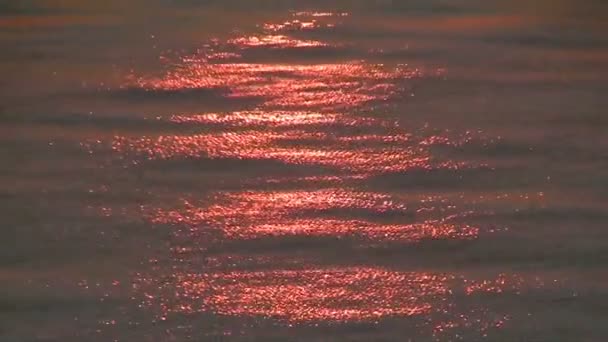 Reflection of sunset sun — Stock Video