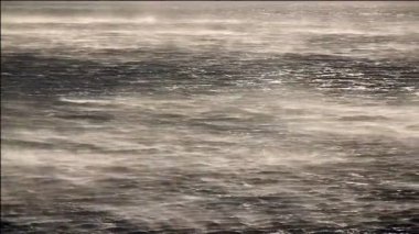 Kasırga Rüzgar Denizi