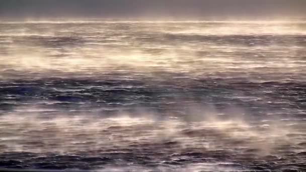 Sztorm wiatr nad morzem — Wideo stockowe