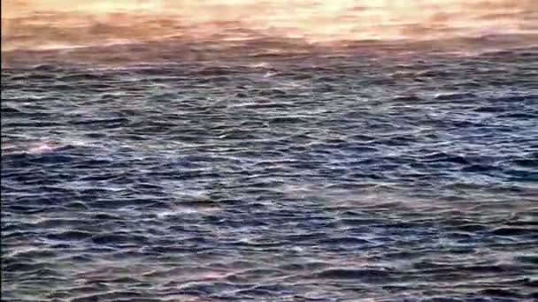 Ветер на море — стоковое видео