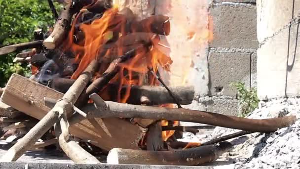 Wood burning in the fireplace — Stock Video