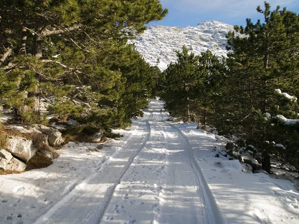 Kar kaplı yol — Stok fotoğraf