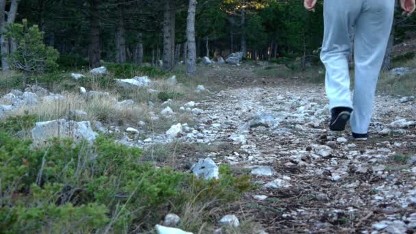 Jonge vrouw wandelen in het bos — Stockvideo