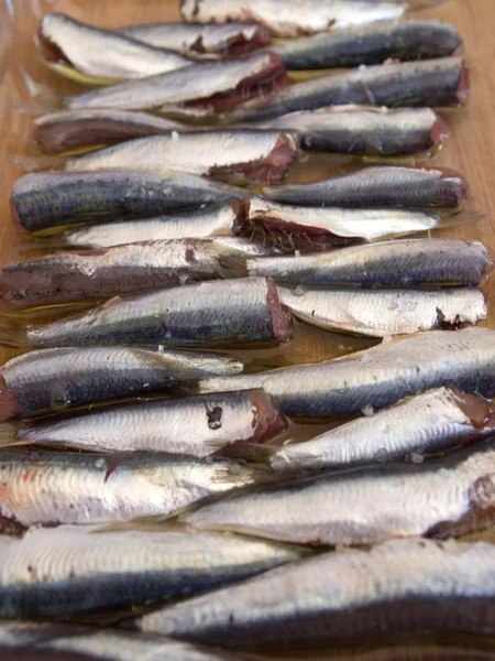Sardines ready for baking — Stock Photo, Image