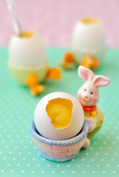 Orange Custard in Egg Shells — Stock Photo, Image