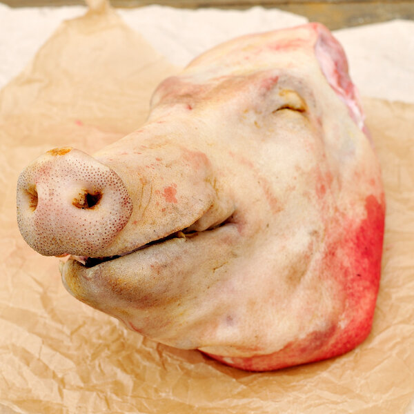 Pig's Head