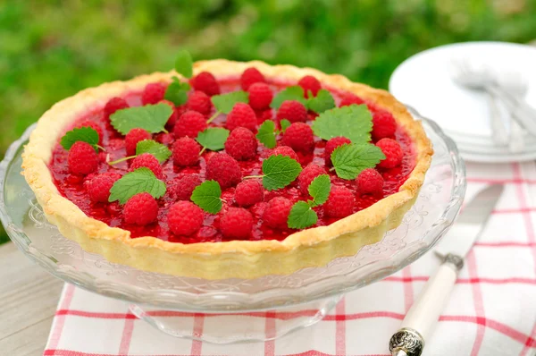 Fresh Raspberry Jelly Tart, selective focus — Stock Photo, Image