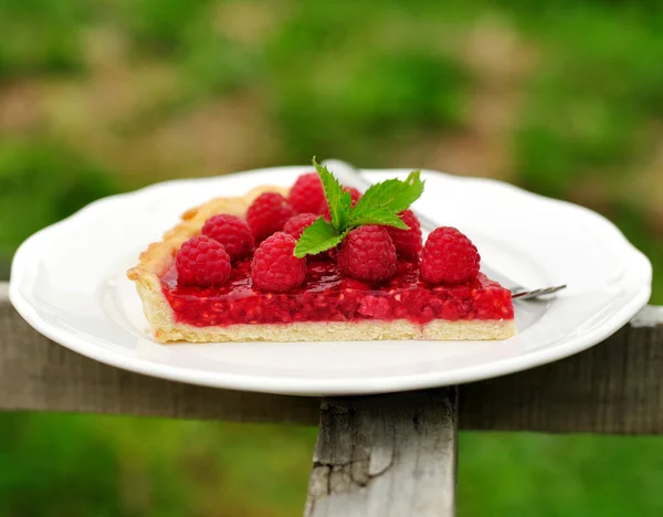 Taze frambuaz jöleli tart — Stok fotoğraf