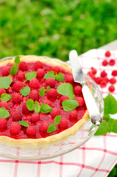 Fresh Raspberry Jelly Tart, copy space for your text, selective focus — Stock Photo, Image