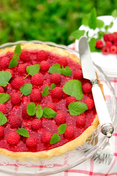Fresh Raspberry Jelly Tart, copy space for your text, selective focus — Stock Photo, Image