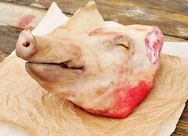豚の頭 — ストック写真