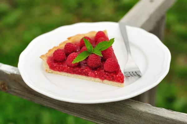 Crostata fresca di gelatina di lampone — Foto Stock