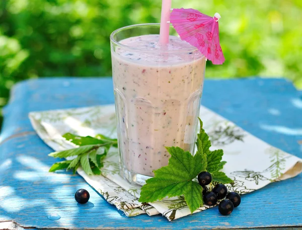 Frullato alla menta di ribes nero — Foto Stock