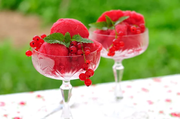 Red currant dessert wine sorbet, copy space for your text — Stock Photo, Image