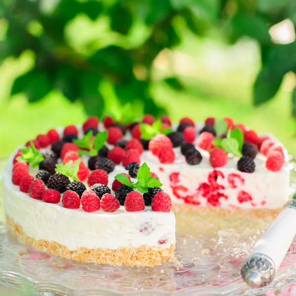 Neen-bak raspberry cheesecake — Stockfoto