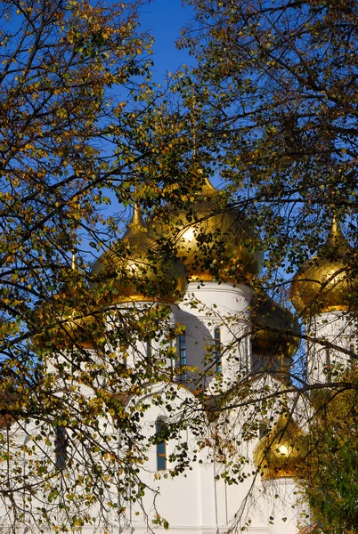 Церковні куполи в сонячний осінній день — стокове фото