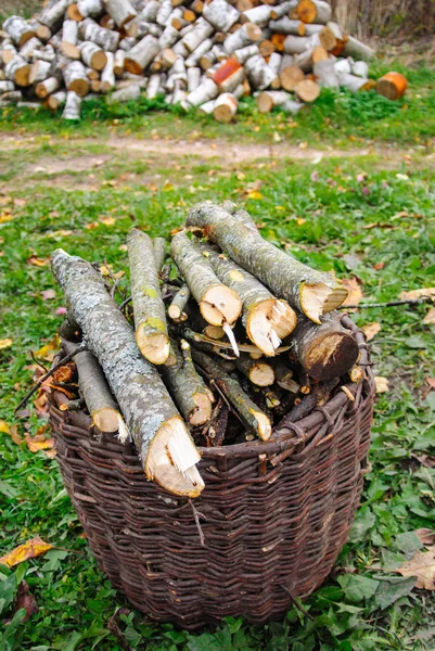 Basket with firewood against birch logs — Stock Photo, Image