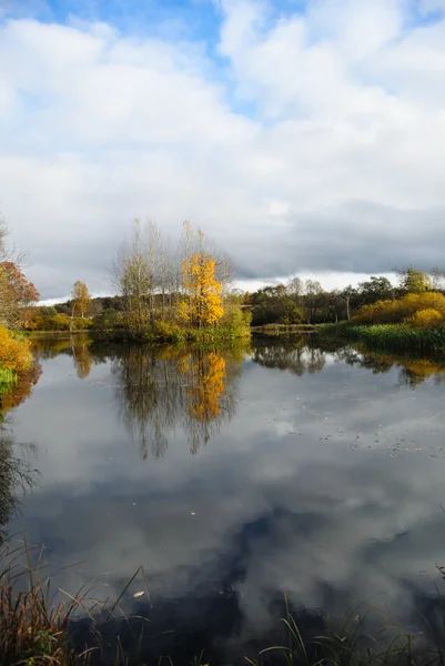 Sky reflection in a pond in the autumn — Stock Photo, Image