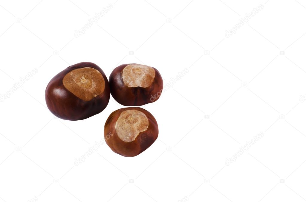 three wild chestnut