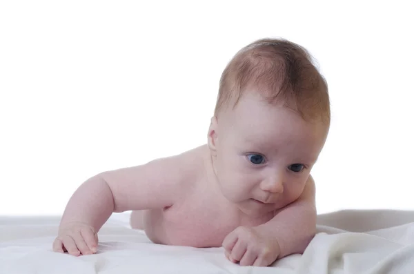 白い背景の赤ん坊 — ストック写真