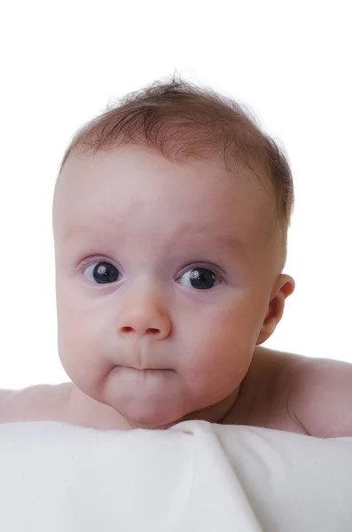 Baby on a white background — Stock Photo, Image