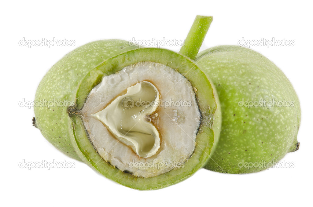Green walnut isolated on white background