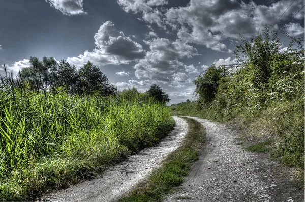 Old nature path — Stock Photo, Image