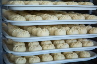 Buryat buuz. Minced meat from beef and pork in the dough