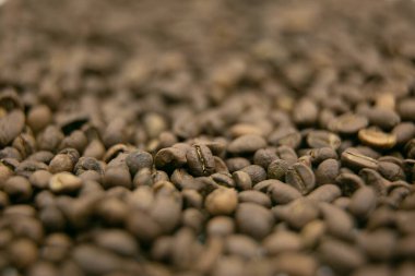 Coffee bean. A mixture of different types of coffee beans. can be used as a background