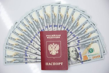 Pasaport ve dolar.