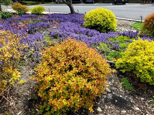 Çiçekler ve çalılarla süslenmiş güzel bir ön bahçe.