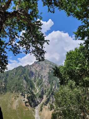 Kashmir trekking in august in India beautiful scenery atmosphere nature 