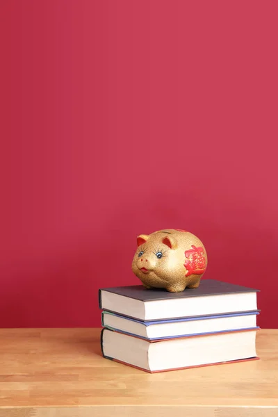 Das Goldene Sparschwein Auf Den Büchern Mit Farbigem Hintergrund — Stockfoto