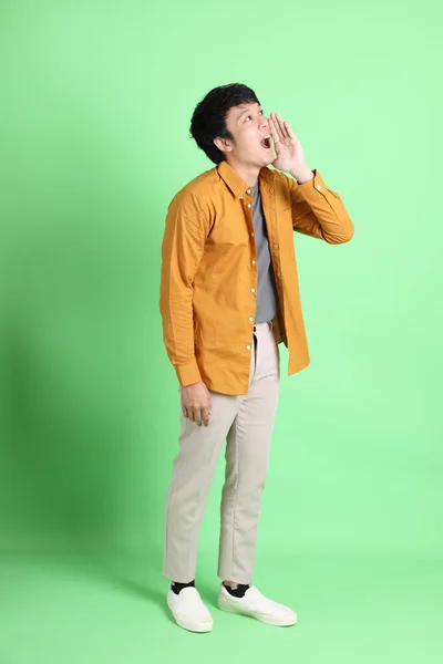 Açık Yeşil Arka Planda Duran Şık Günlük Kıyafetleri Olan Genç — Stok fotoğraf