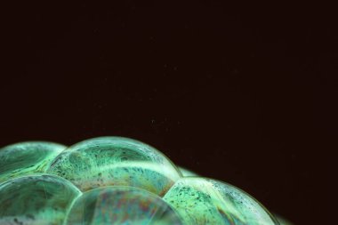 The abstact element on the soap bubble with the dark background.