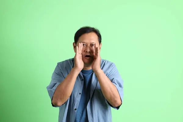 Yeşil Arka Planda Duran Yaşlardaki Aşırı Kilolu Asyalı Adam — Stok fotoğraf