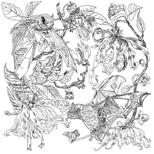 Ο Ylang-ylang και οι Java pipistrelle νυχτερίδες. Χλωρίδα και πανίδα. Χειροποίητη πένα σε μαύρο και άσπρο χρώμα βοτανική απεικόνιση. Λουλούδια που χρησιμοποιούνται στην αρωματοποιία. Αρωματικό άρωμα. — Φωτογραφία Αρχείου