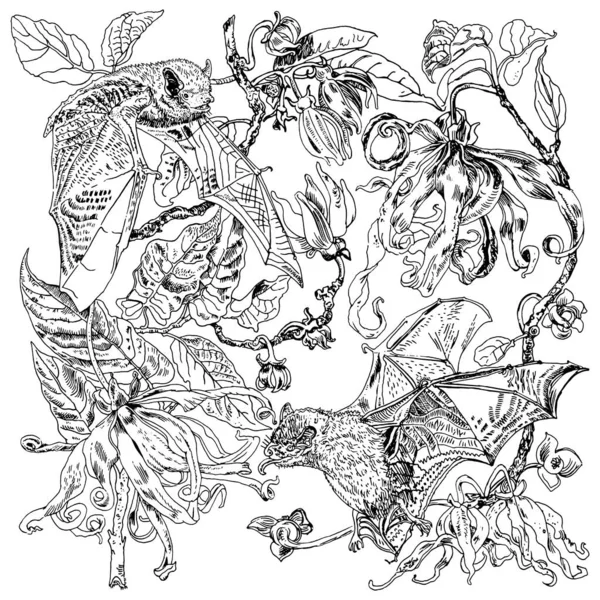 Ο Ylang-ylang και οι Java pipistrelle νυχτερίδες. Χλωρίδα και πανίδα. Λουλούδια που χρησιμοποιούνται στην αρωματοποιία. Χειροποίητη διανυσματική βοτανική απεικόνιση, εκτύπωση T-shirt, σχέδιο τατουάζ, σελίδα βιβλίου κατά του άγχους. — Διανυσματικό Αρχείο