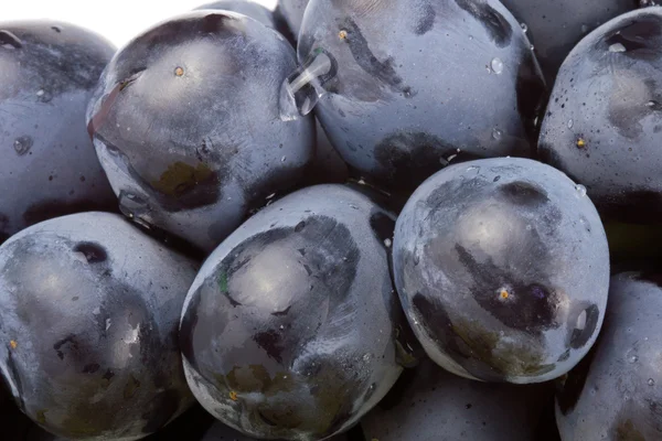 Uvas negro sobre blanco — Foto de Stock