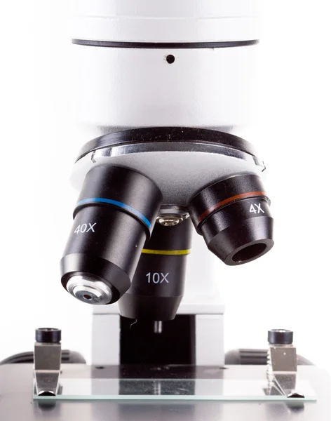 beyaz izole mikroskobu