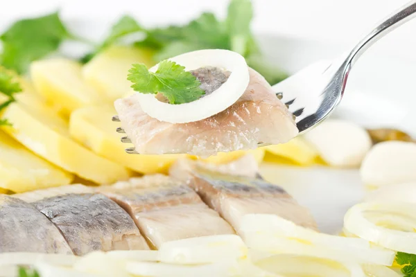 Gedeelte van haring visfilets met aardappelen en UI — Stockfoto