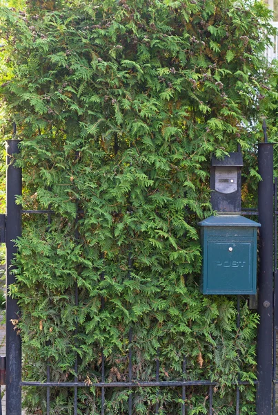 Postlåda på grön bakgrund — Stockfoto